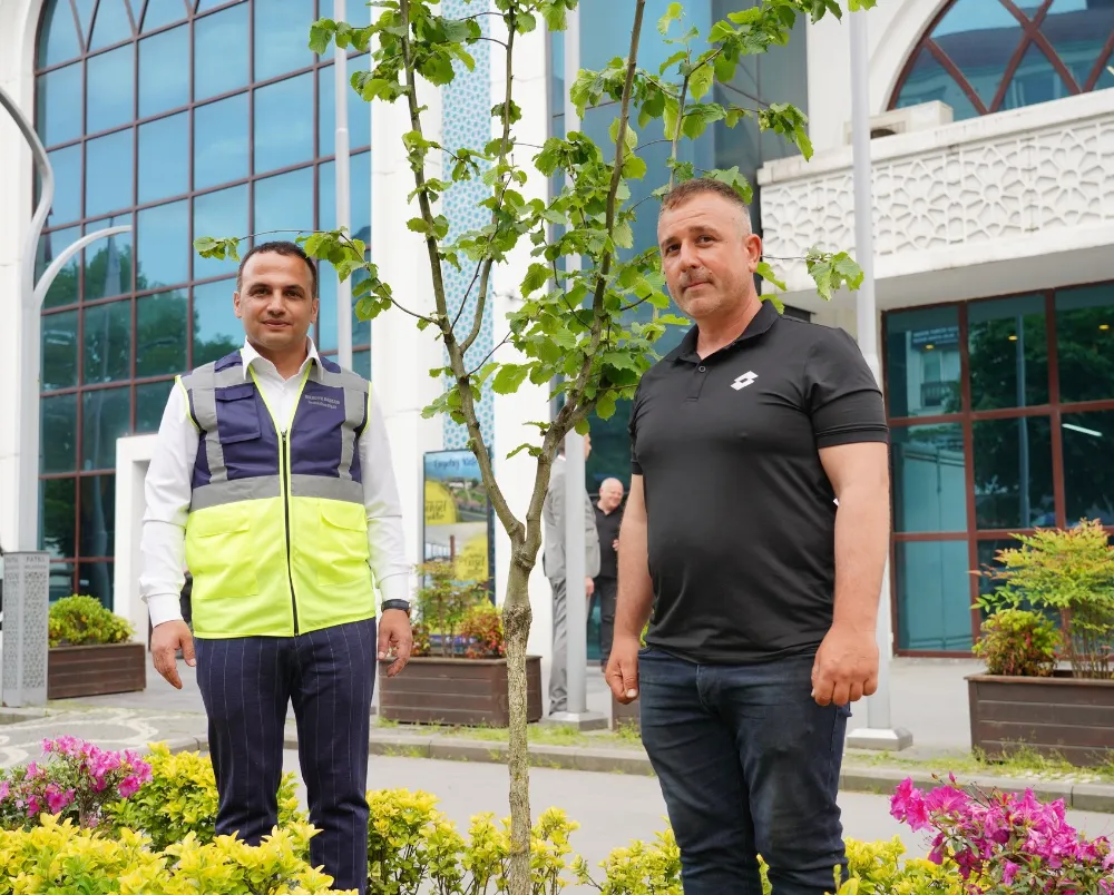 Fatsa’da kazık köklü fındık fidanı ile sembolik farkındalık