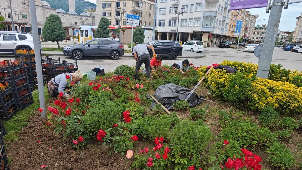 Ordu’nun dört bir yanı çiçek bahçesine döndü