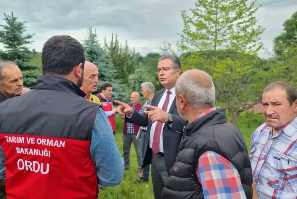 Kahverengi Kokarca’ya karşı ODÜ ve İl Tarım Müdürlüğü işbirliği… 