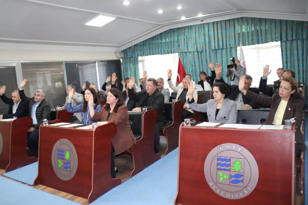 Başkan Tavlı’nın projeleri Meclisten tam not aldı