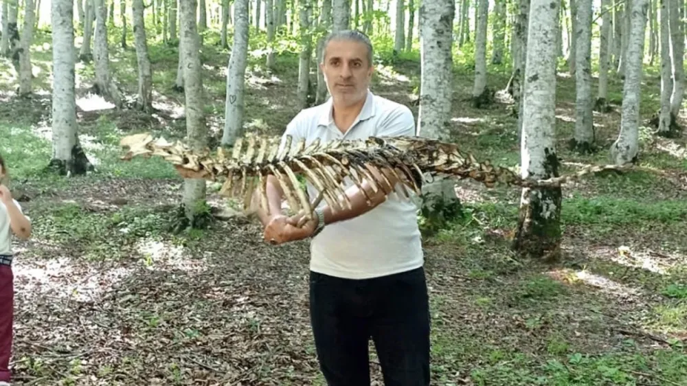 Aybastı’da şaşırtan keşif! 