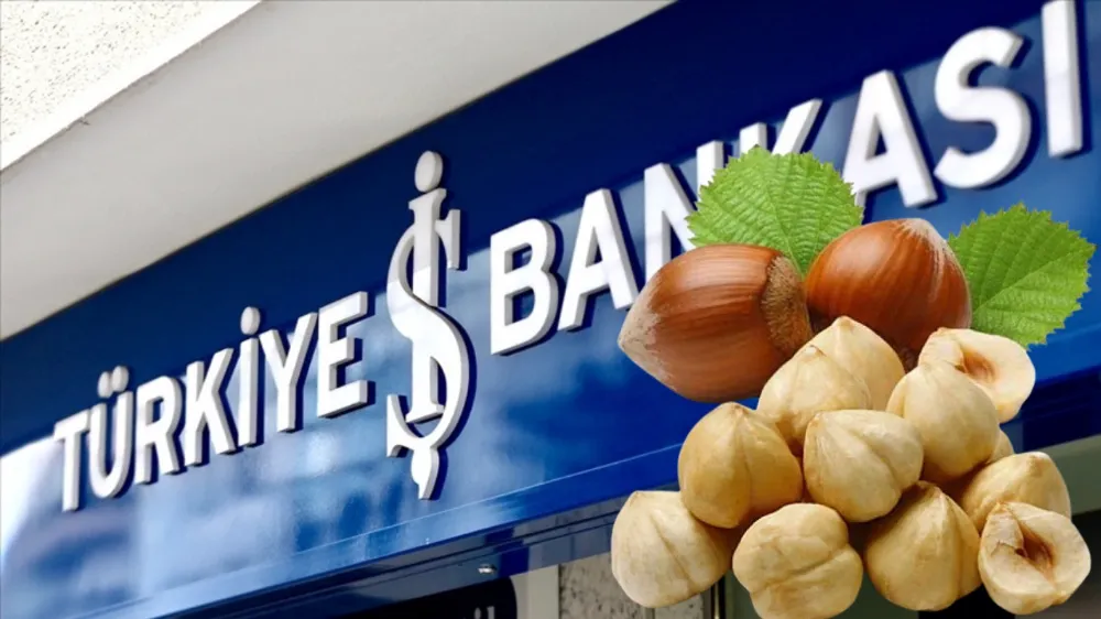 Fındık üreticisine zirai don sonrası destek