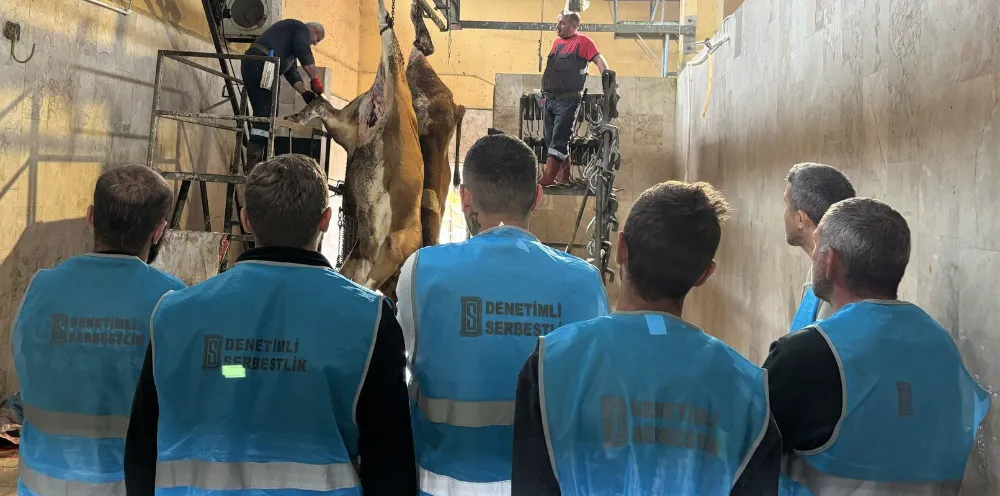 Denetimli Serbestlik Müdürlüğü’nden yükümlülere kurban kesim eğitimi