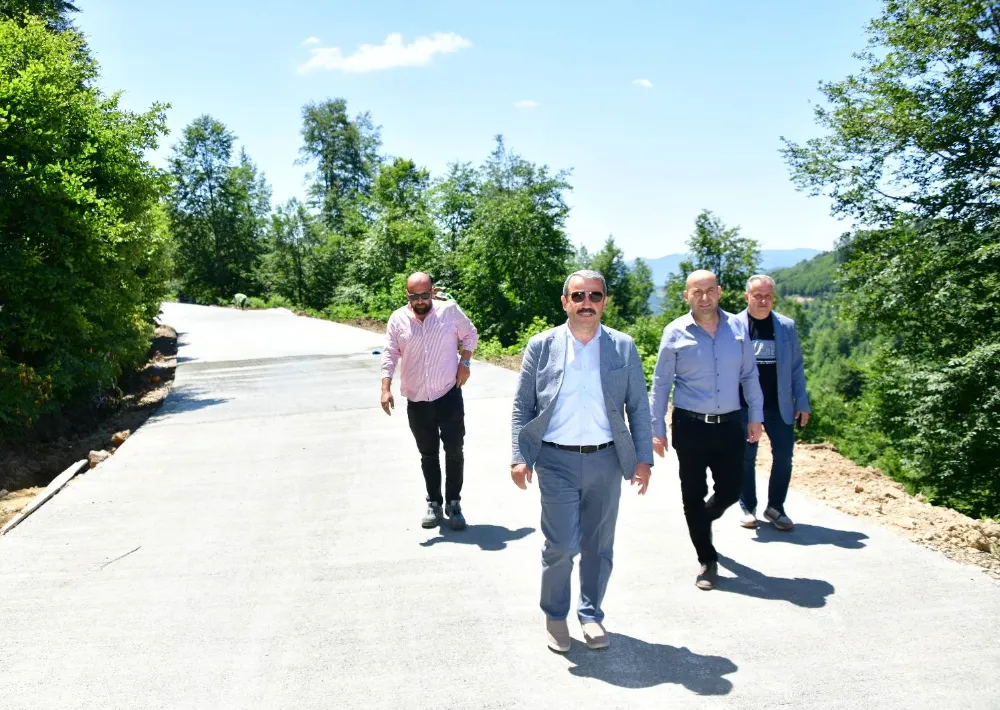 Yeşil Yol Projesi Taz Yaylası