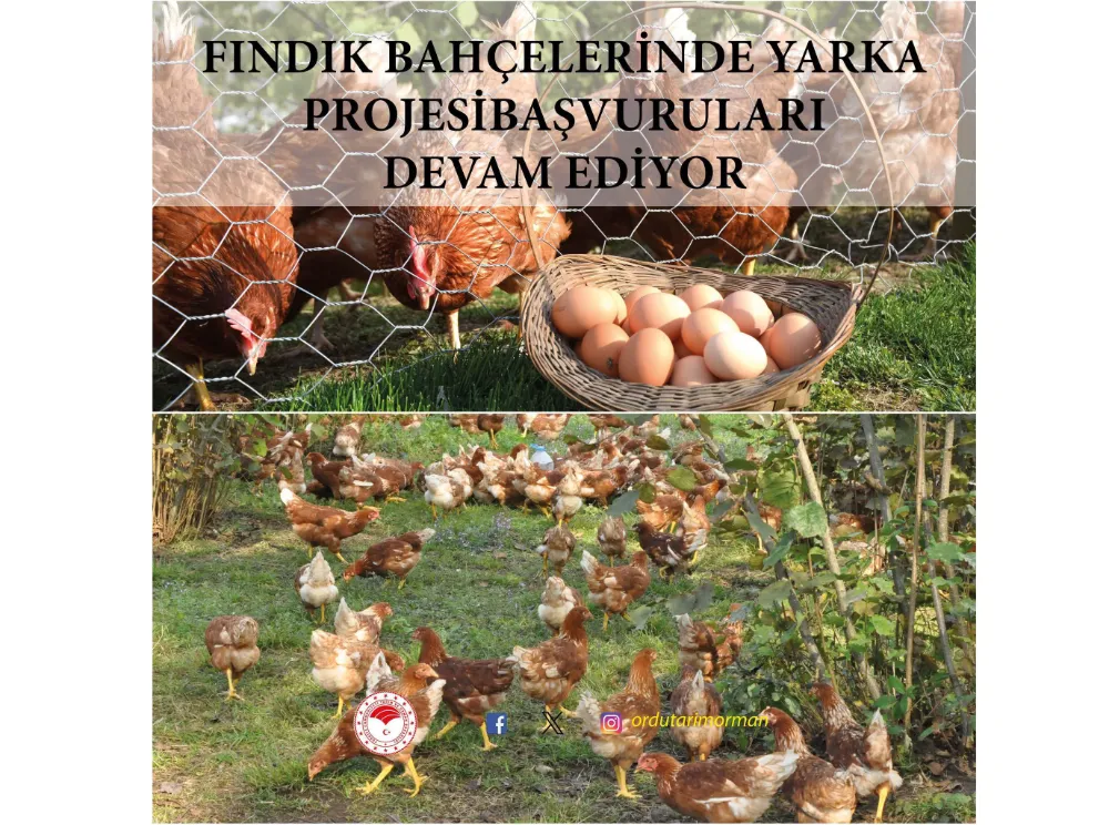 Fındık bahçelerinde Yarka Projesi başvuruları devam ediyor