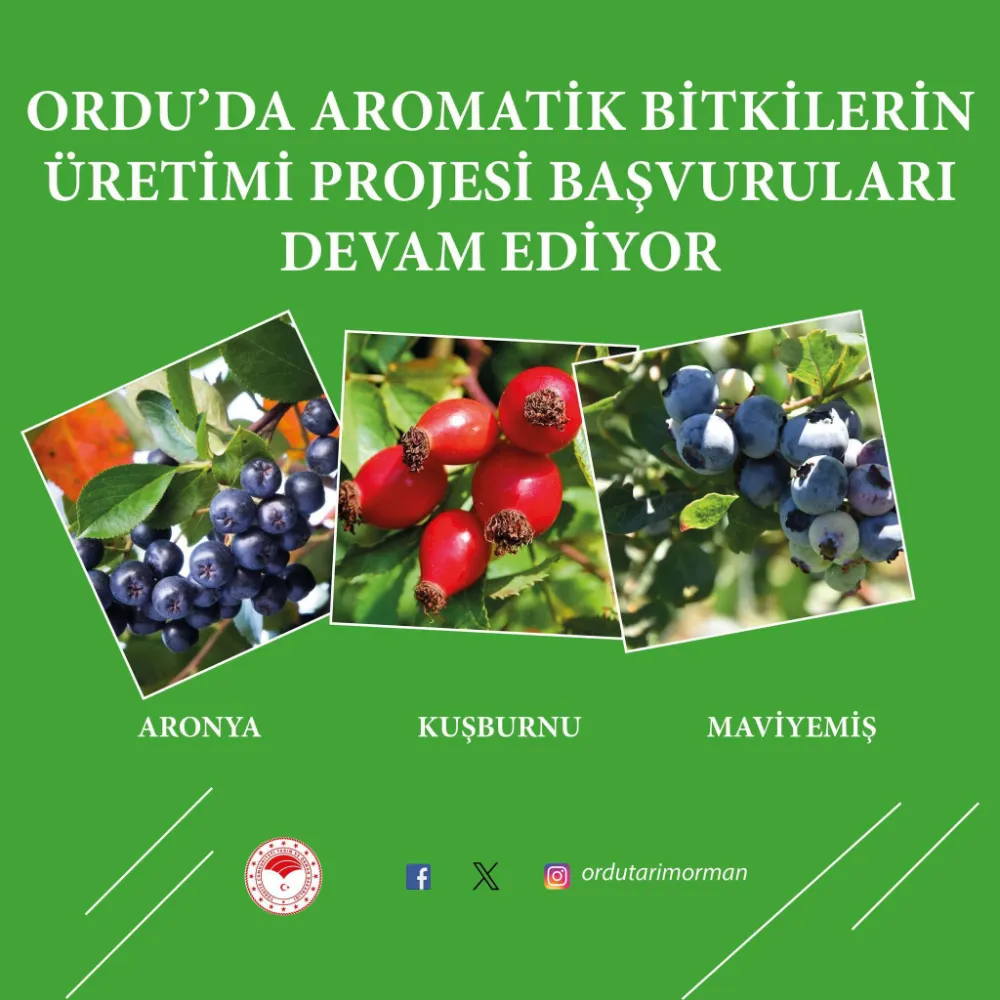 Aromatik bitki üretimi için başvurular 13 Haziran’da sona eriyor!