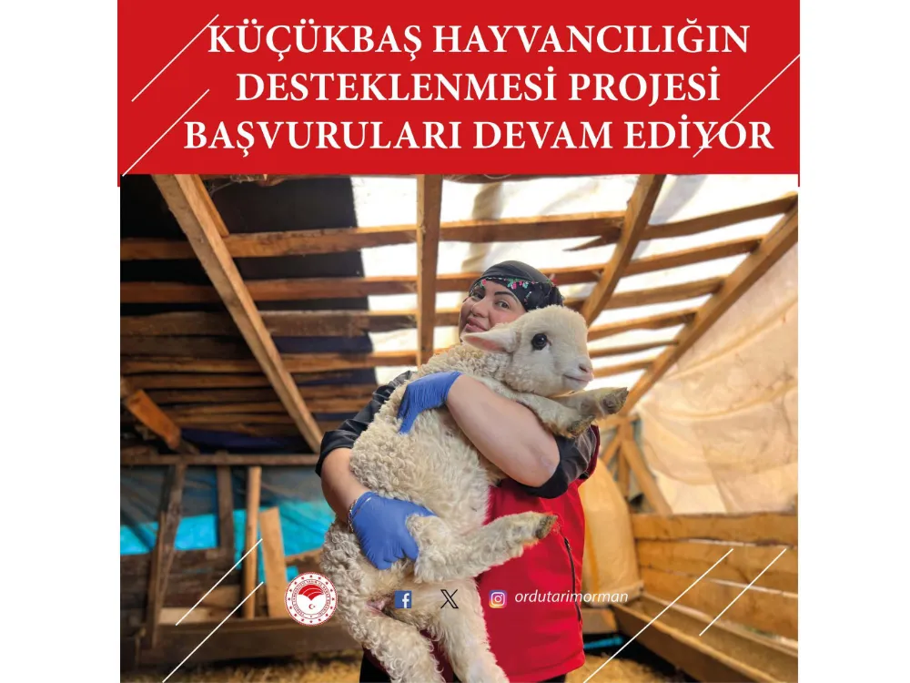 Küçükbaş hayvancılıkta destek için son 8 gün!
