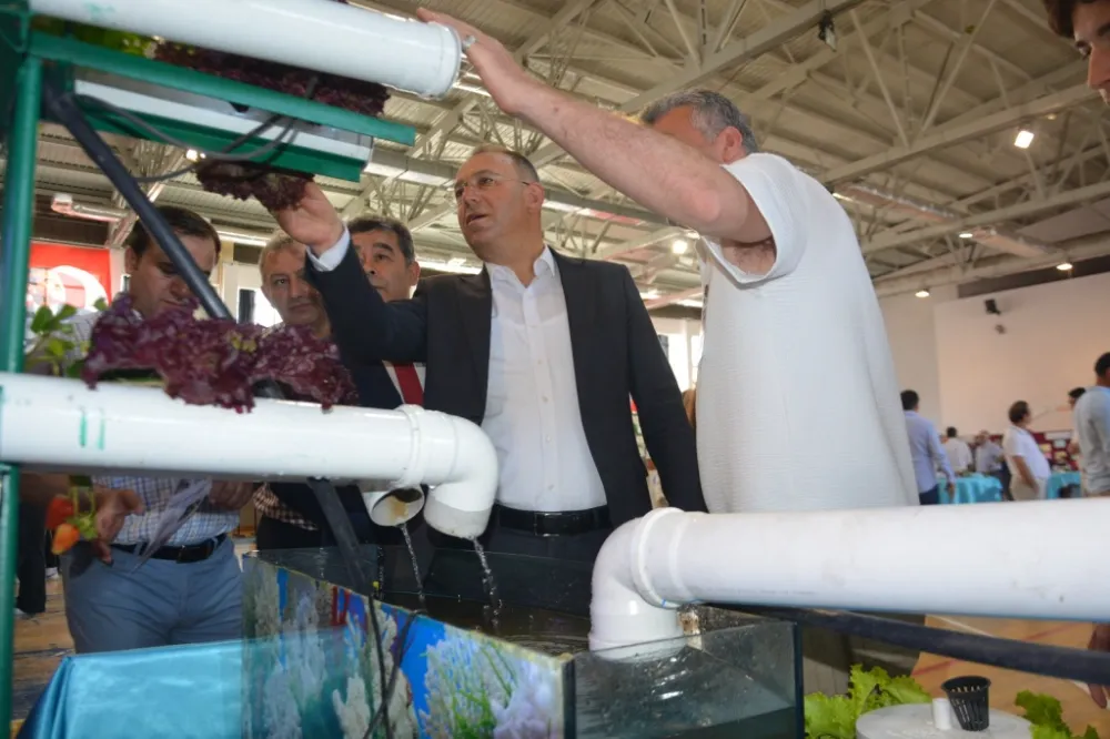 Ünye’de topraksız tarım projesiyle organik ürünler üretiyor