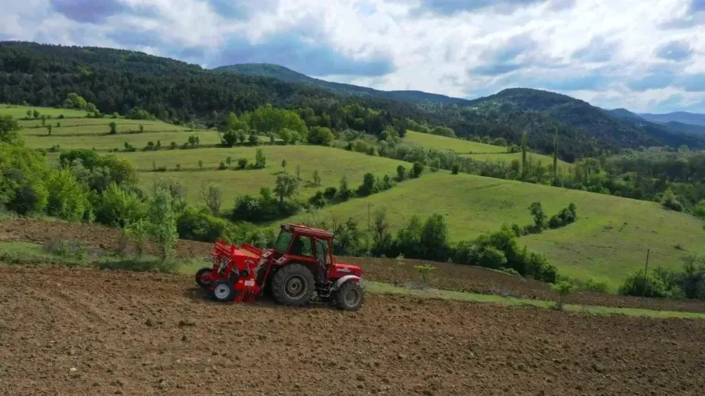 Ordu’da tarımda çeşitlilik hız kazandı
