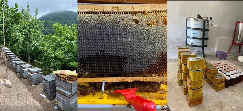 “Bu yıl 15 senenin rekoru”