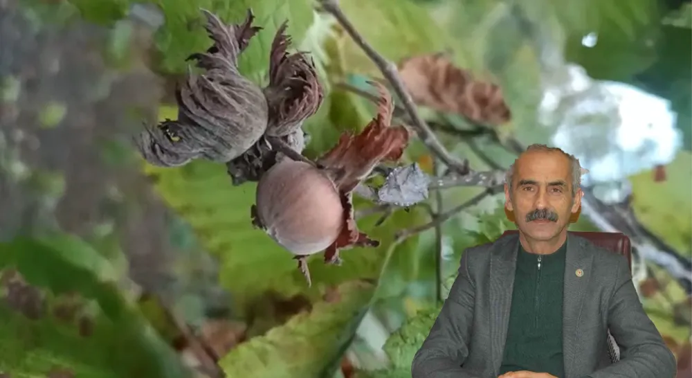  “12 ay uğraştık ama anlatamadık”