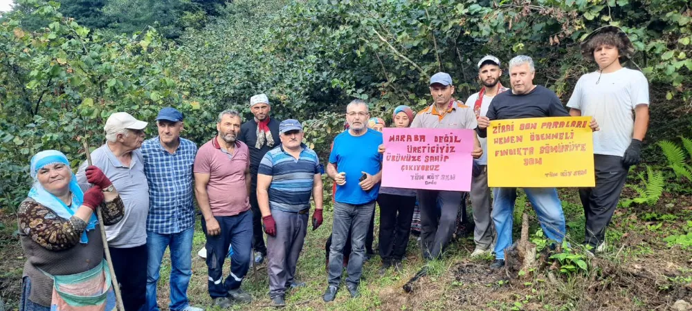 Fındık bahçesinden hükümete mesaj!