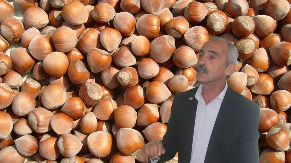 Fındığı bir anda pazara indirmeyin, emanete bırakmayın!