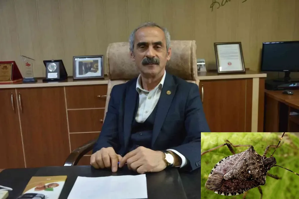 Kokarca istilası başladı, üreticilere uyarı yapıldı!