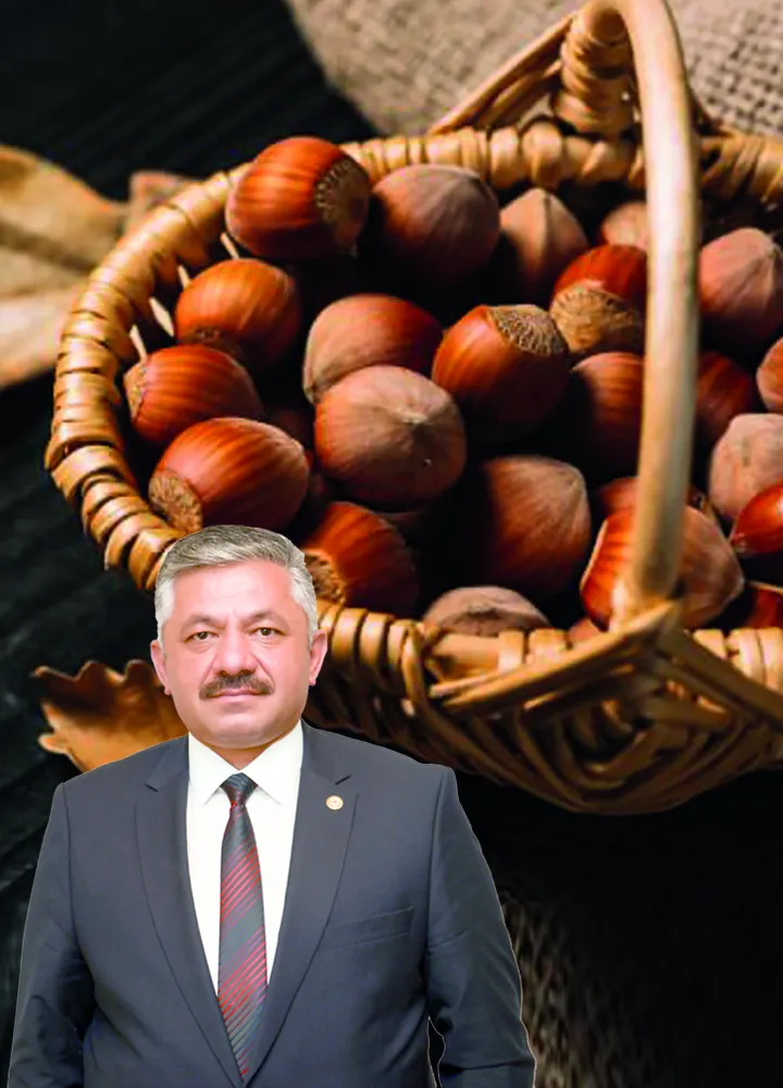 “Fındık bu yıl açık artırma gibi satılacak”