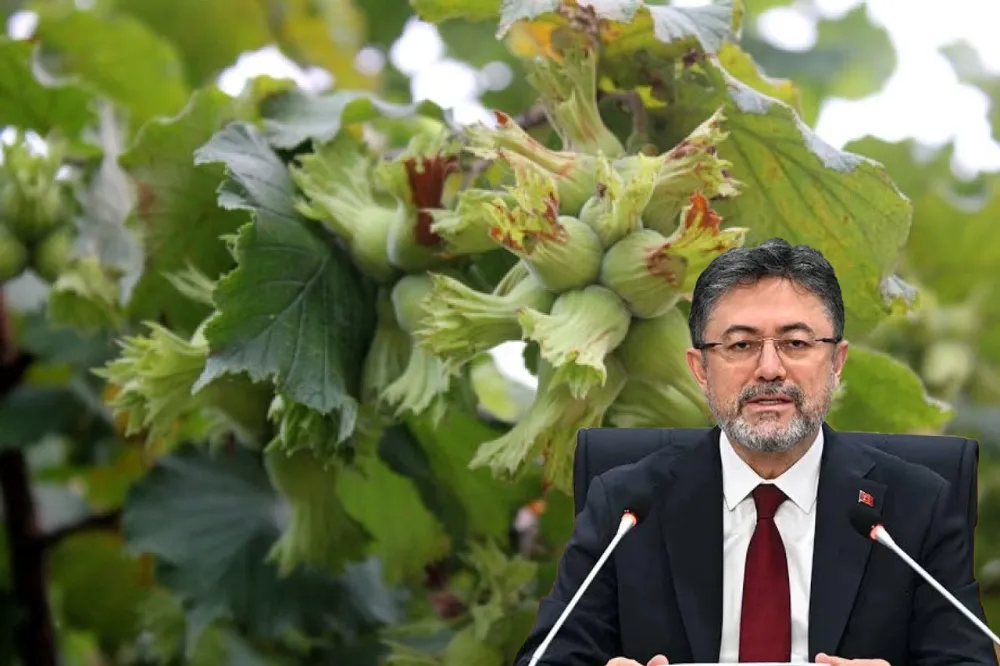 “Fındık 5 Doların üzerine çıktıysa AK Parti ve Cumhurbaşkanımızın takibi ve talimatlarıyla olmuştur”