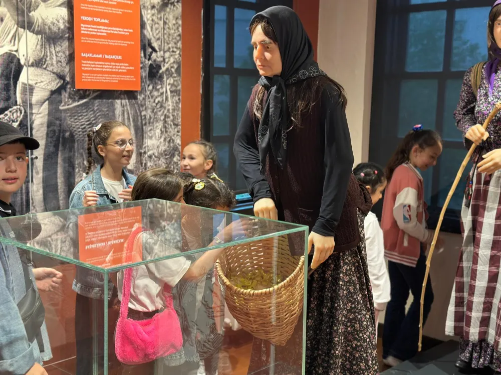 Türkiye’nin ilk Fındık Müzesi 37 bin 176 ziyaretçiyi ağırladı