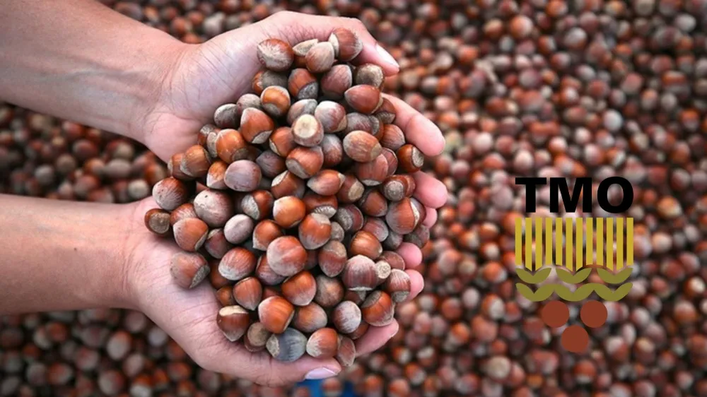 TMO fiyatı üreticiyi memnun etmedi! 