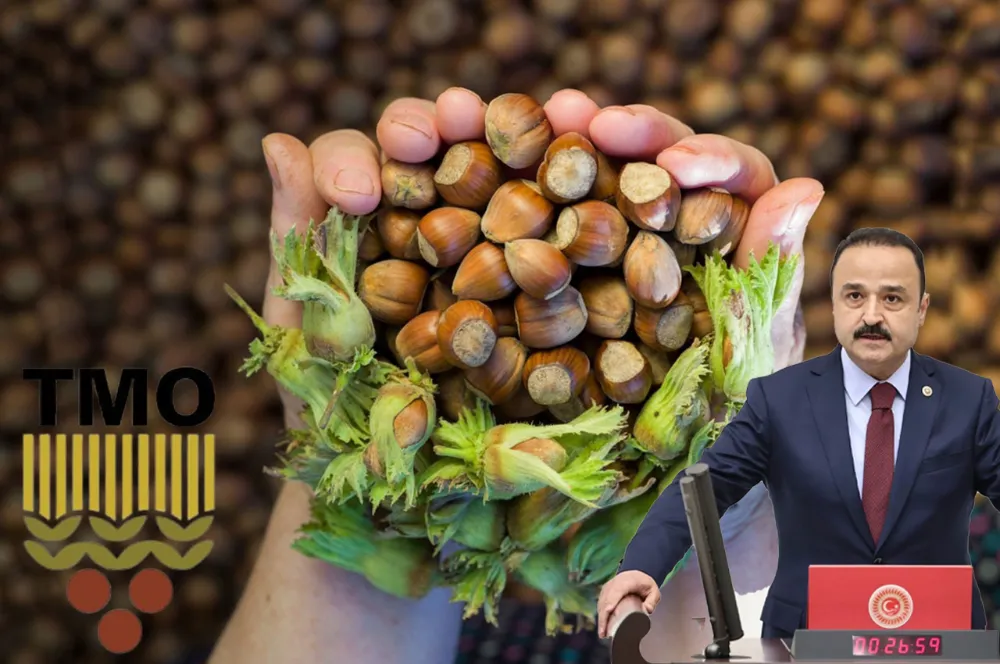 MHP’li Şanlıtürk: “Benim 200 TL’den verecek fındığım yok”