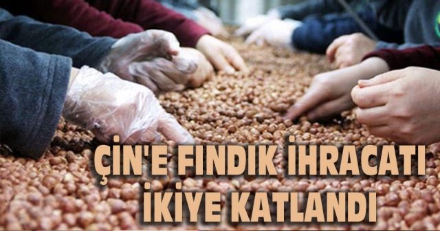 Çin'e fındık ihracatı ikiye katlandı