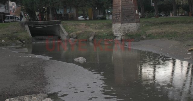 Ünye bunu asla hak etmiyor…