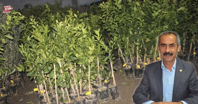 Ziraat Odası 3.500 meyve fidanı satacak